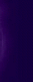 outasite_auctions_new_york_jersey001003.gif